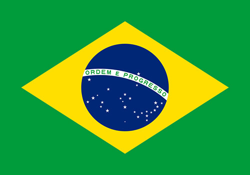 Brazilian Certified Groomers